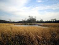 Lake Kinkaid